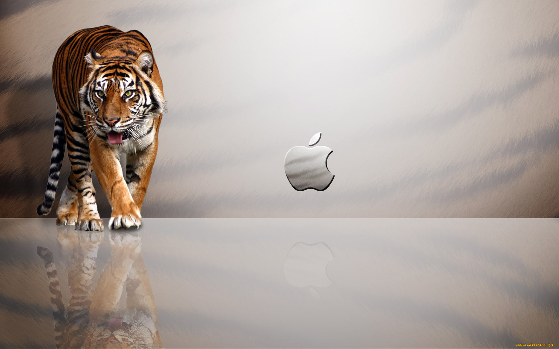 , apple